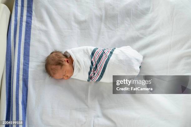 swaddled newborn baby sleeping on hospital bed - baby blanket stock pictures, royalty-free photos & images