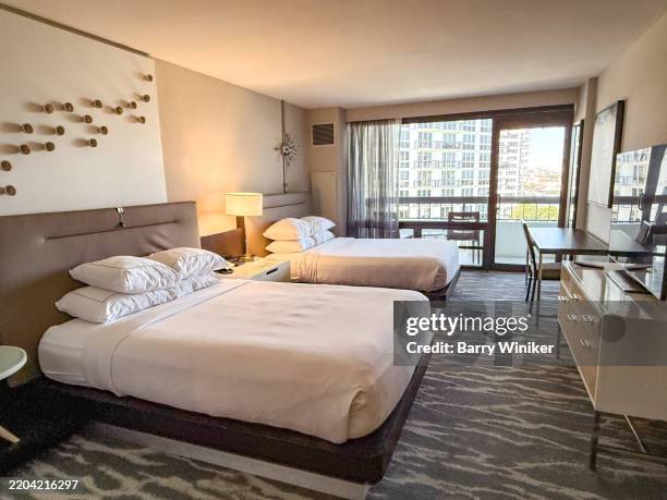 queen room at waterstone resort and marina, boca raton - alfombra raton fotografías e imágenes de stock