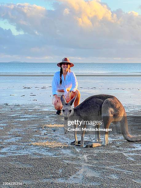 woman in hat observing kangaroo on beach at sunrise - kangaroo island stock pictures, royalty-free photos & images
