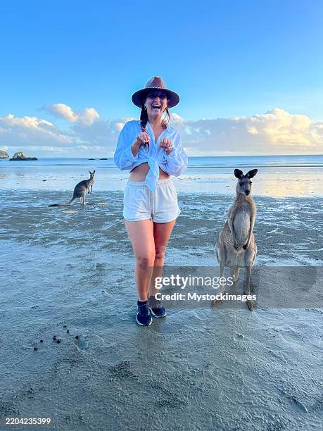 Woman On Beach With Kangaroos At Sunset, Stockfoto