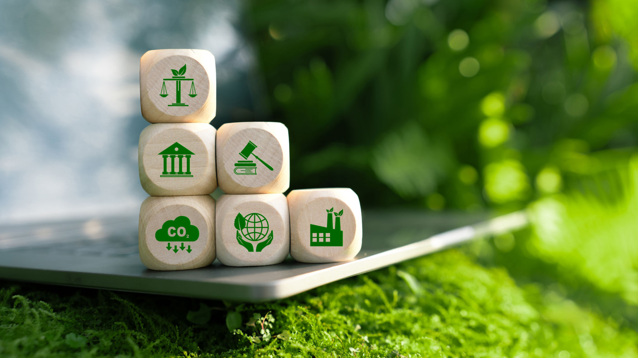 local environmental regulations