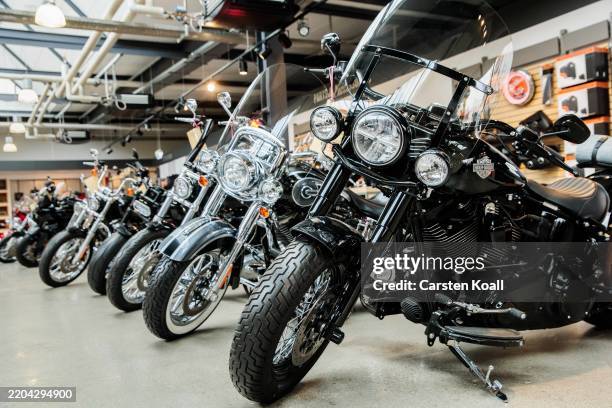 Various models of the US motorcycle manufacturer Harley Davidson are displayed in the showroom of the Harley Davidson Store on March 13, 2025 in...