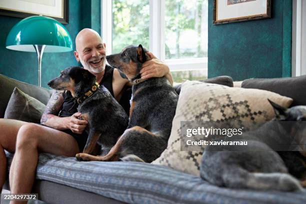 smiling senior enjoying cozy time on sofa with dogs - cozy home stock pictures, royalty-free photos & images