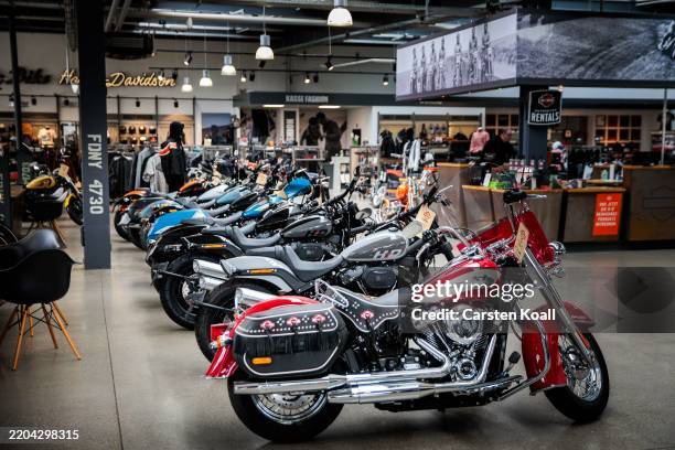Various models of the US motorcycle manufacturer Harley Davidson are displayed in the showroom of the Harley Davidson Store on March 13, 2025 in...
