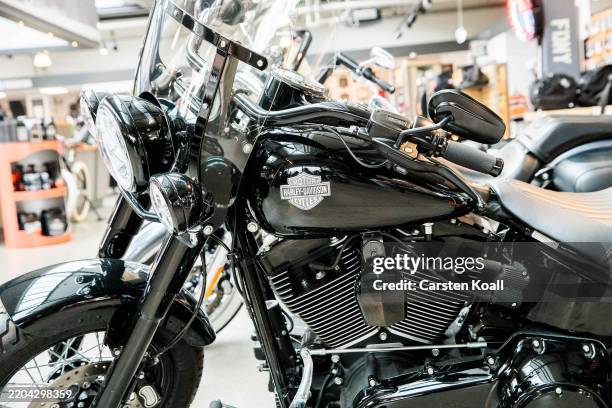Model of the US motorcycle manufacturer Harley Davidson is displayed in the showroom of the Harley Davidson Store on March 13, 2025 in Berlin,...