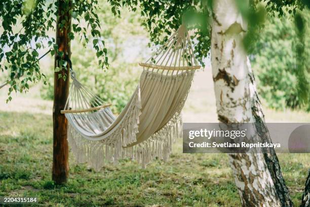 empty hammock hanging between trees in a peaceful garden invites relaxation - hang hammock backyard stock pictures, royalty-free photos & images