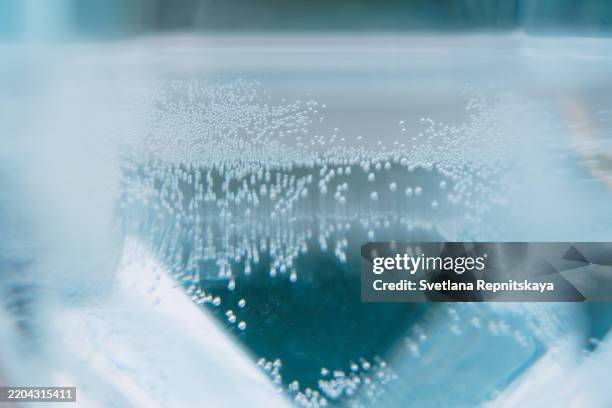 tiny air bubbles rising in sparkling water creating refreshing texture - aqua fitness stock pictures, royalty-free photos & images