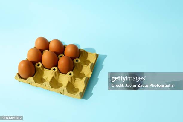 seven brown eggs resting in a cardboard carton on a light blue background - scarce stock pictures, royalty-free photos & images