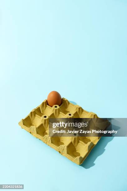 last lonely brown egg remaining in carton on light blue background - knappheit stock-fotos und bilder