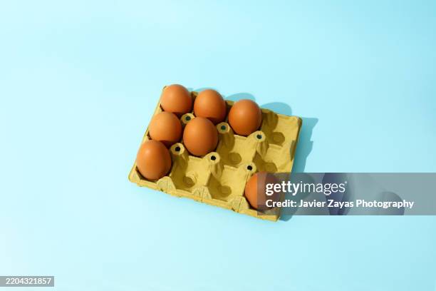 seven brown eggs in a carton on a light blue background - à guichets fermés photos et images de collection