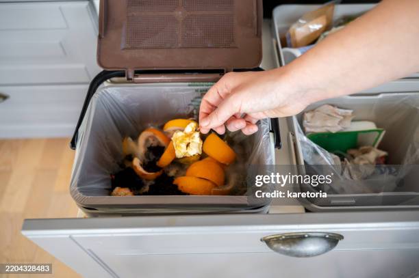 apple core thrown into compost bin - biodegradable stock pictures, royalty-free photos & images