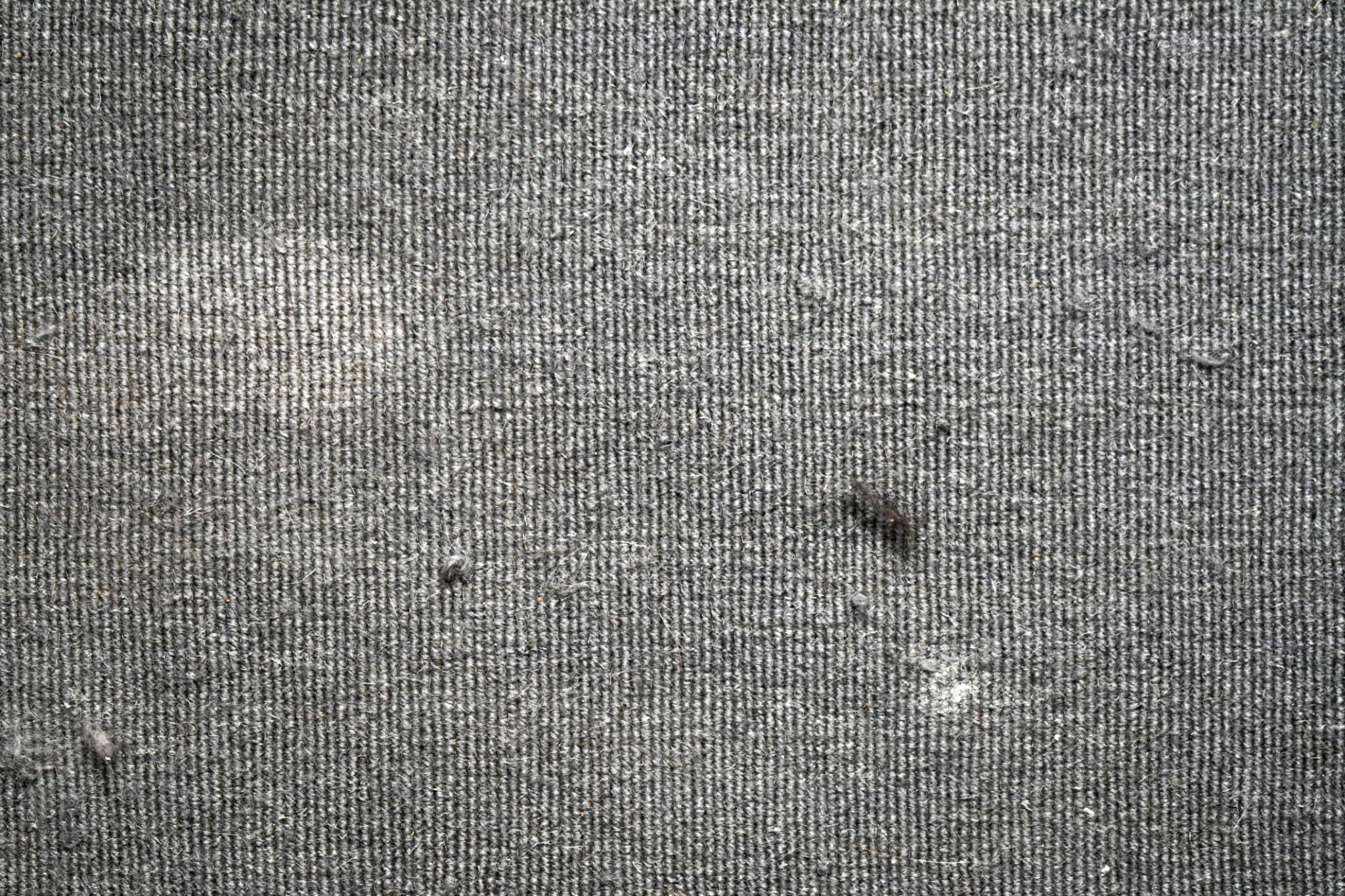 dirty carpet