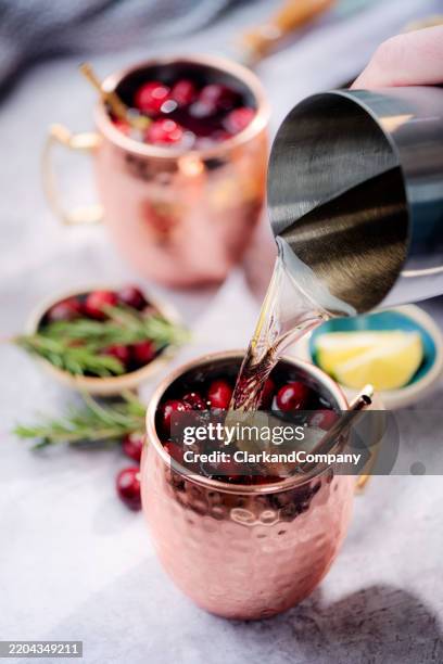 cranberry moscow mule - cranberry juice stock pictures, royalty-free photos & images