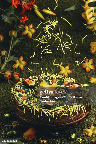 easter grass falls on easter cake with carrots and chocolate eggs surrounded by flowers in green grass - easter cake stock pictures, royalty-free photos & images