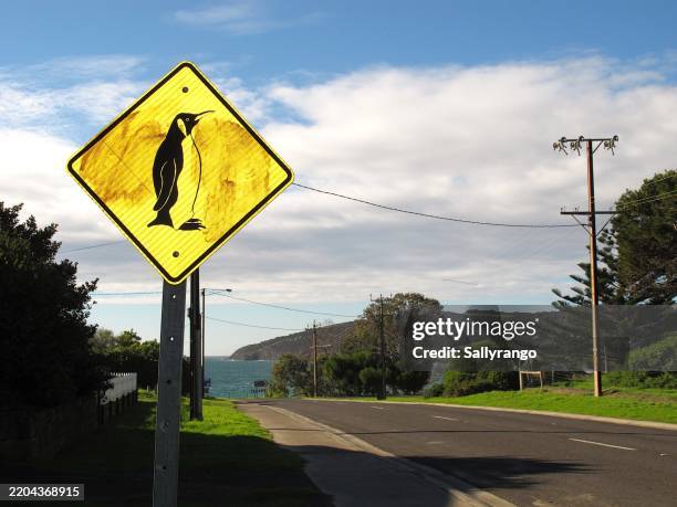 Penguin Sign 715 Penguin Sign Stock Photos, High-Res Pictures, and Images - Getty Images