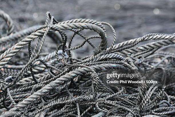 Japanese Mini Rope 4,200 Japanese Rope Stock Photos, High-Res Pictures, and Images - Getty ...