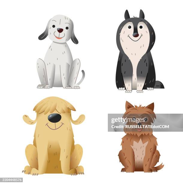 ilustraciones, imágenes clip art, dibujos animados e iconos de stock de terrier, perro pastor y perro husky se comportaron bien sentados y mirando al frente - técnica de ilustración