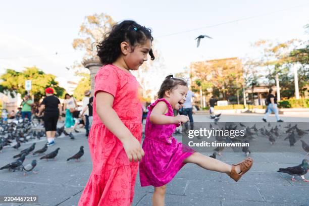 happy little girls chasing birds in downtown san salvador - el salvador - san salvador stock pictures, royalty-free photos & images