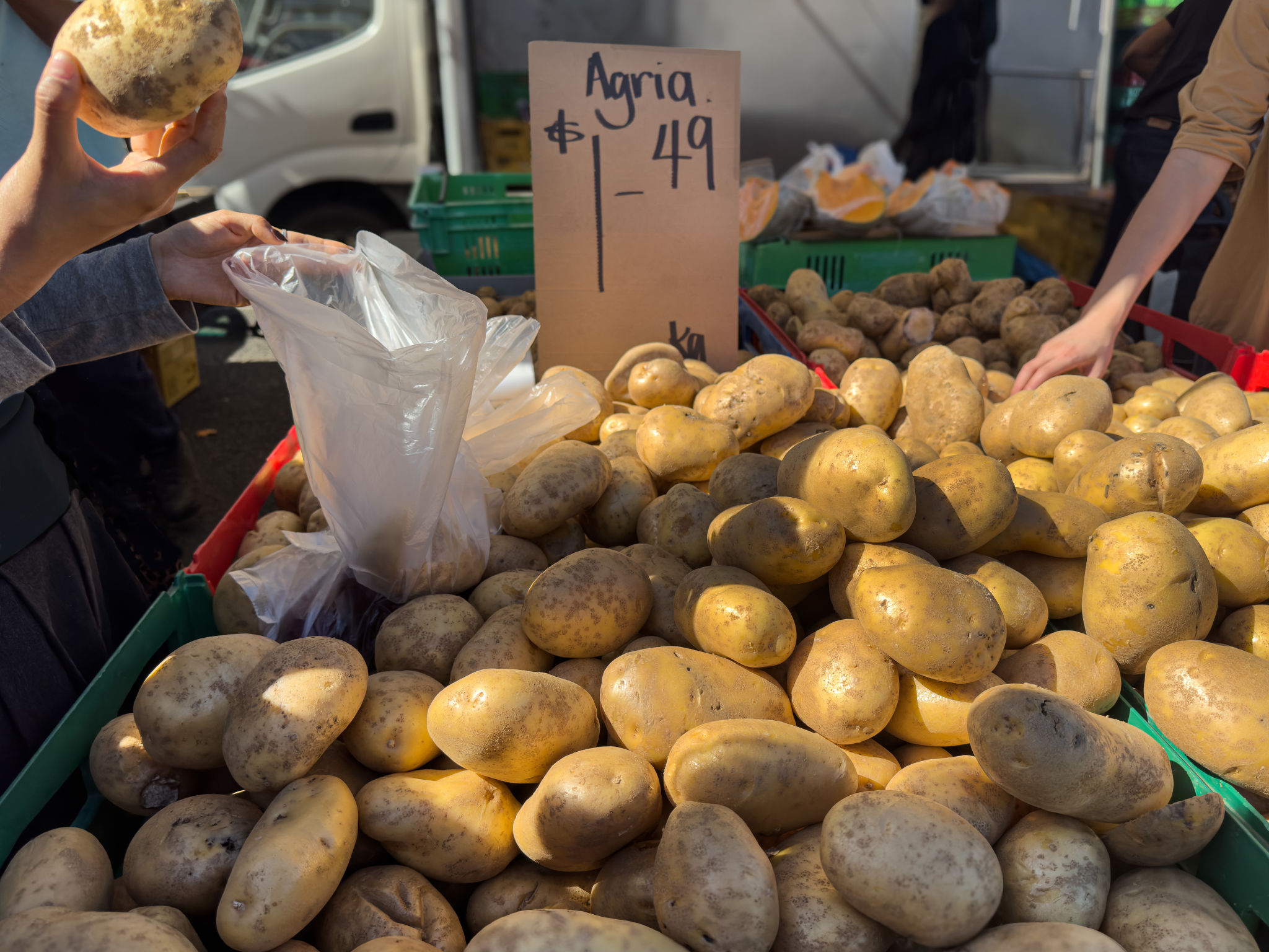 auckland local market