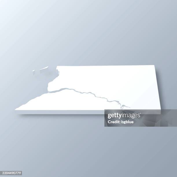 bristol bay, alaska. 3d map on gray background - bristol bay alaska stock illustrations