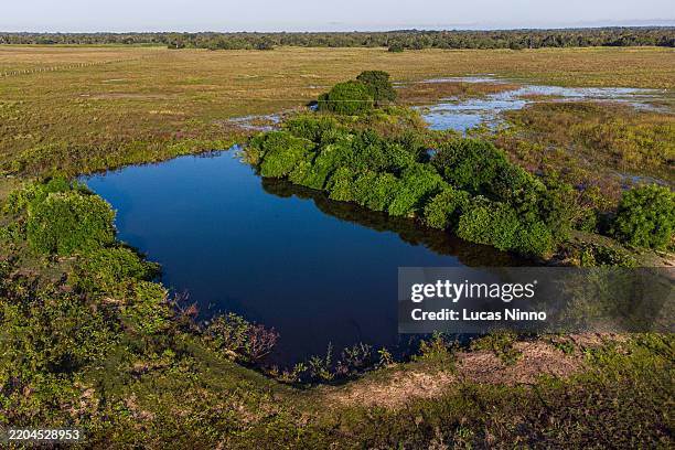 artificial water reservoir on a farm in the pantanal - artificial pond stock pictures, royalty-free photos & images