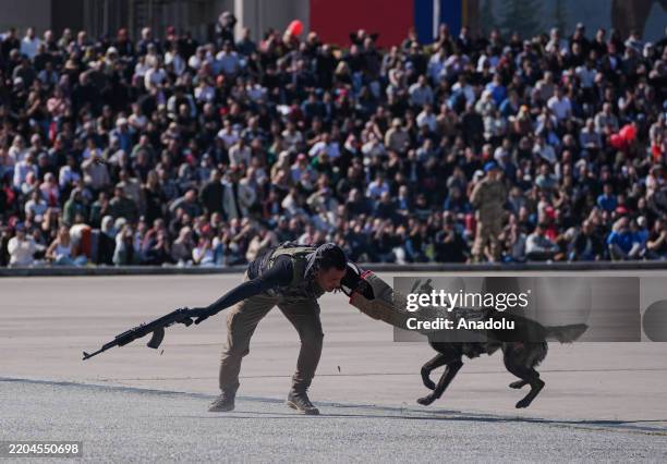 Subdue Images 331 Yeni Foça Stock Photos, High-Res Pictures, and Images - Getty Images