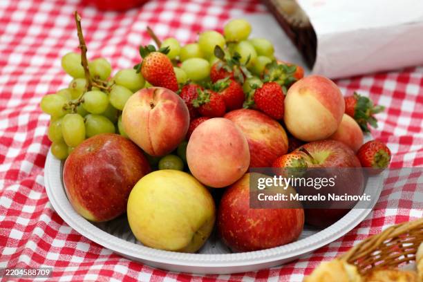 fruit basket on a picnic blanket - fruitschaal stockfoto's en -beelden