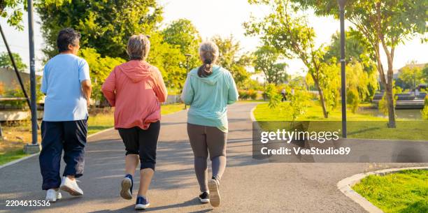 groupe de femmes âgées asiatiques heureuses faisant du jogging ensemble au parc - marche sportive photos et images de collection