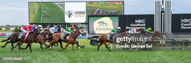 Regal Zeus ridden by Daniel Stackhouse wins the Yulong VOBIS Gold Sprint at Caulfield Racecourse on March 15, 2025 in Caulfield, Australia.