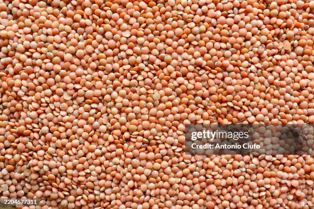 red lentil - mediterranean cuisine - red lentil stock pictures, royalty-free photos & images