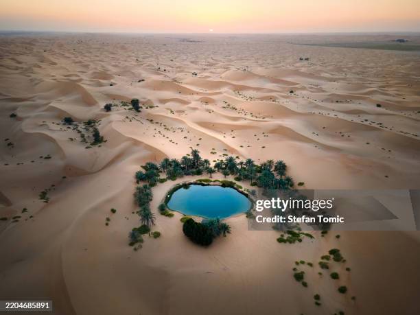 aerial view of an oasis in al ain, abu dhabi, uae at sunset surrounded by golden desert sands - oasis stock pictures, royalty-free photos & images