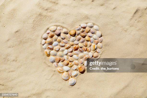 Heart Behind Shell 510 Heart Shaped Shell Stock Photos, High-Res Pictures, and Images ...