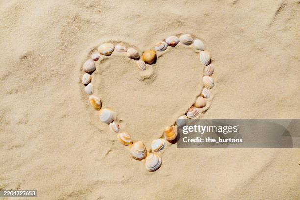 Heart Behind Shell 510 Heart Shaped Shell Stock Photos, High-Res Pictures, and Images ...