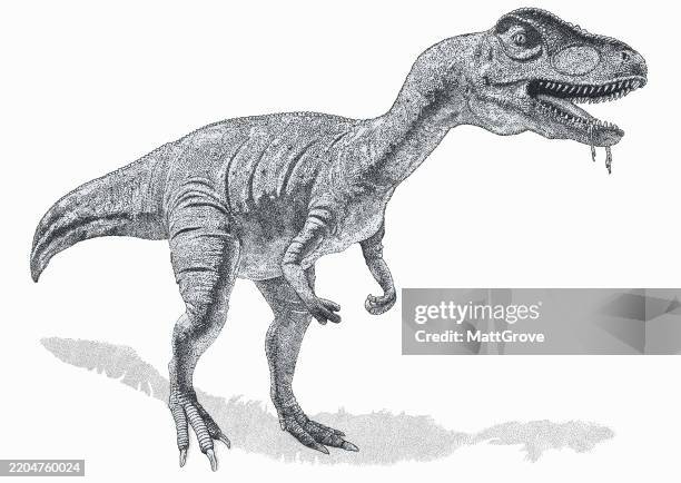 allosaurus dinosaur jurassic - dinosaur extinction stock illustrations