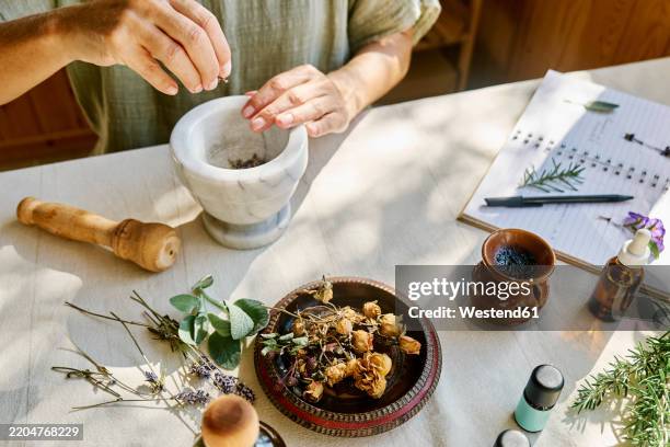 woman preparing for aromatherapy session with essential oil diffuser and medical herbs at home - medicina alternativa foto e immagini stock