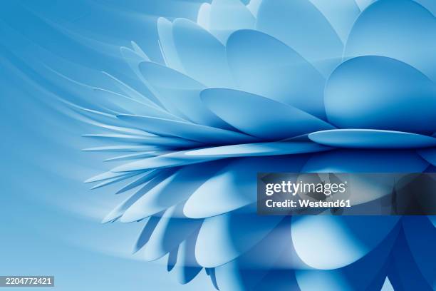3d flower petals against blue background - blütenblatt stock-grafiken, -clipart, -cartoons und -symbole