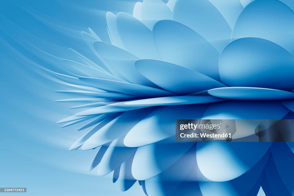 3D flower Petals against blue background