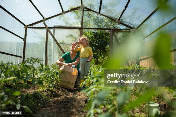 compostaggio e giardinaggio domestico. prodotti locali a conduzione familiare - earth day foto e immagini stock