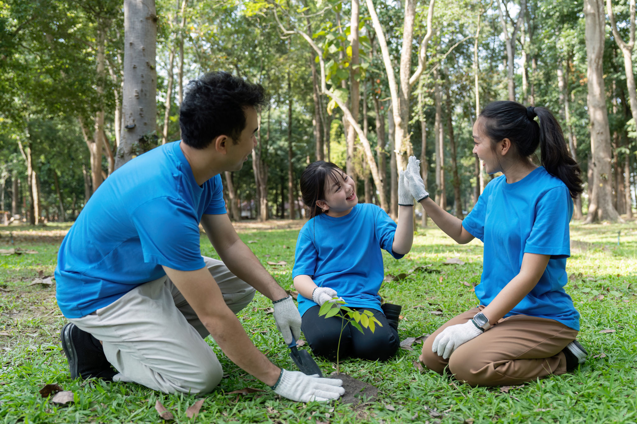 conservation efforts