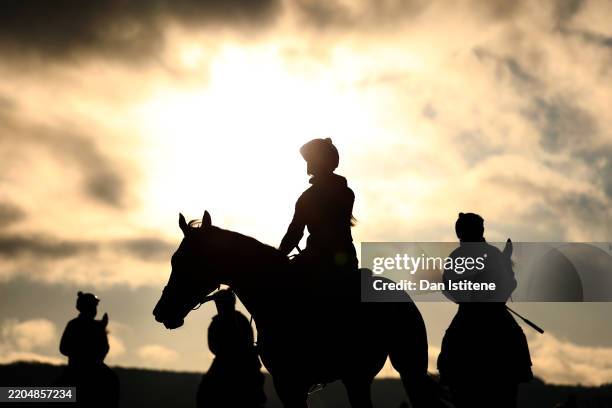Horses on the gallops before Day Three of the 2025 Cheltenham Festival at Cheltenham Racecourse on March 13, 2025 in Cheltenham, England.