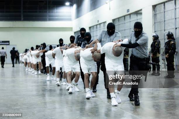 More than 250 suspected gang members arrive in El Salvador by plane, including 238 members of Venezuela's Tren de Aragua gang and 23 members of the...