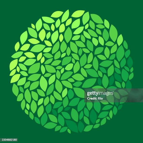green leaves circle sphere design element - leaf stock illustrations