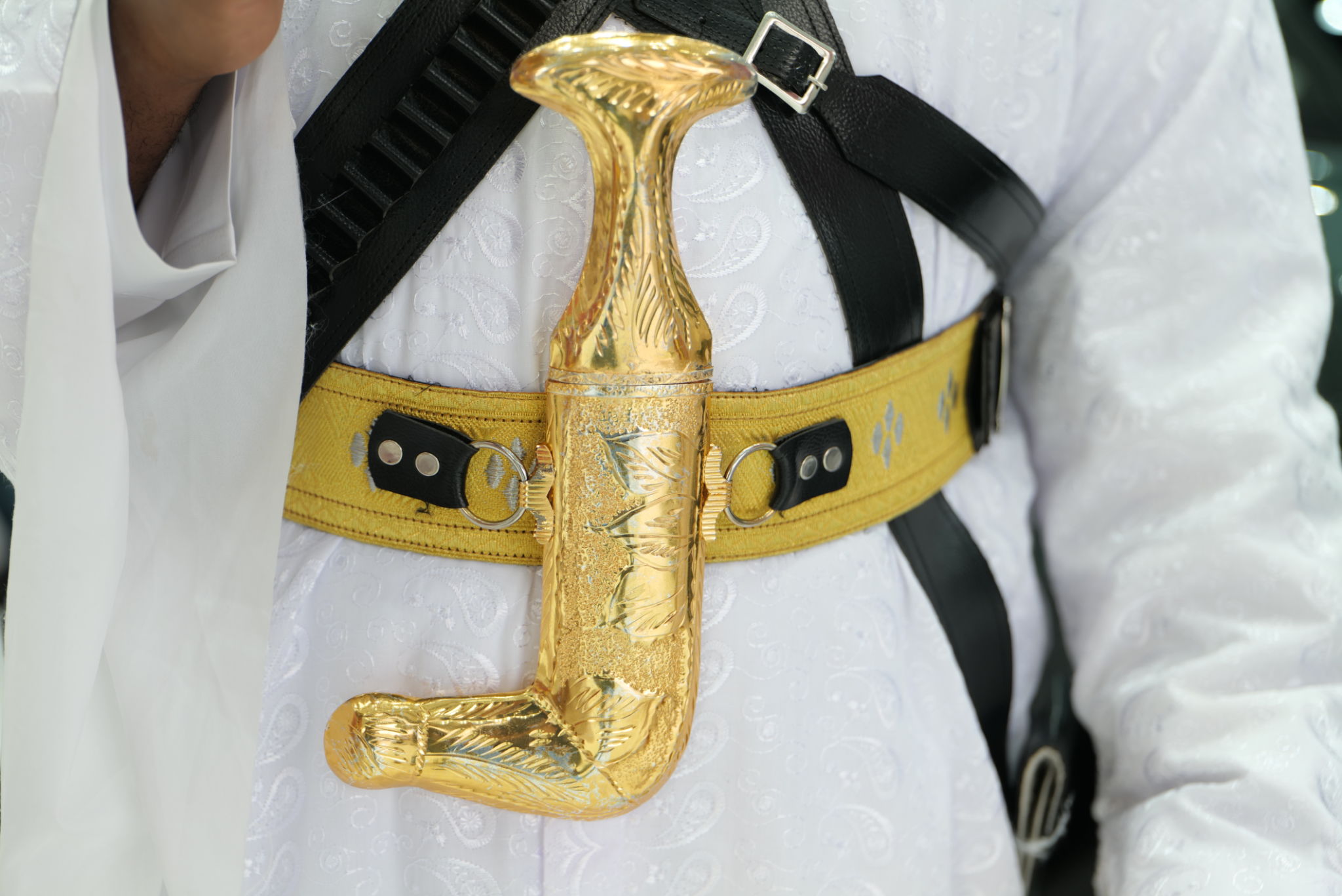 arabian performance