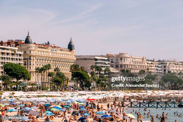 beach and luxury hotels along croisette promenade, cannes, france - cannes fotografías e imágenes de stock
