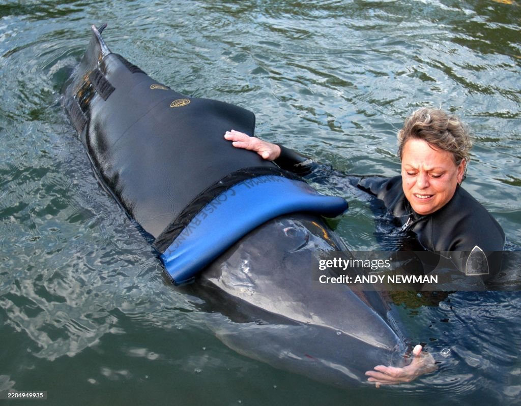 US-WHALE