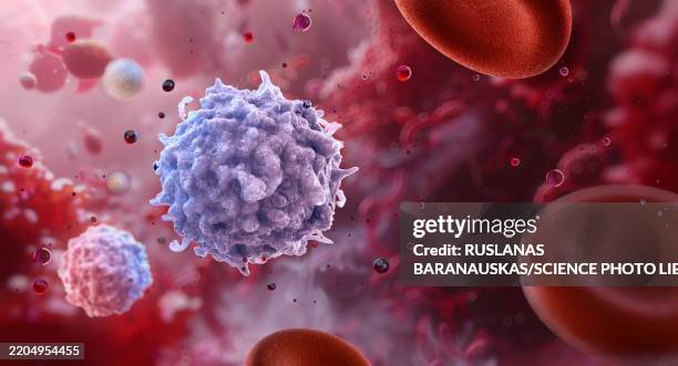 illustrations, cliparts, dessins animés et icônes de lymphocytes, illustration - lymphocyte