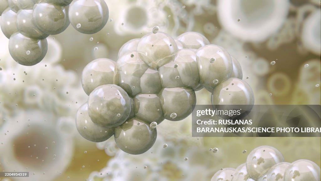 Microcoocus Micrococcus Bacteria Illustration High-Res Vector Graphic - Getty Images