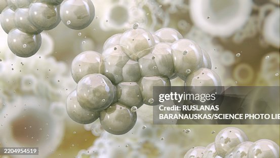 Micrococcus bacteria, illustration Micrococcus bacteria, illustration