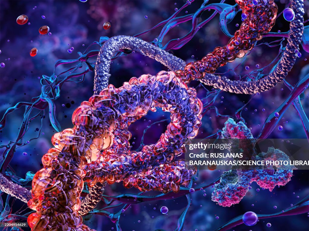 Protein Folding Illustration High-Res Vector Graphic - Getty Images