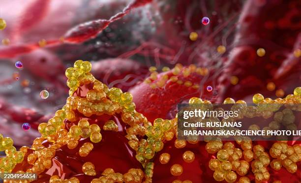 staphylococcus bacteria, illustration - staphylococcus stock illustrations